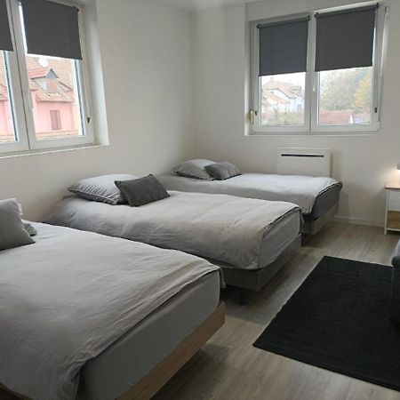 Appartement Entier F3 Renove - Petite Pause A Sélestat Dış mekan fotoğraf