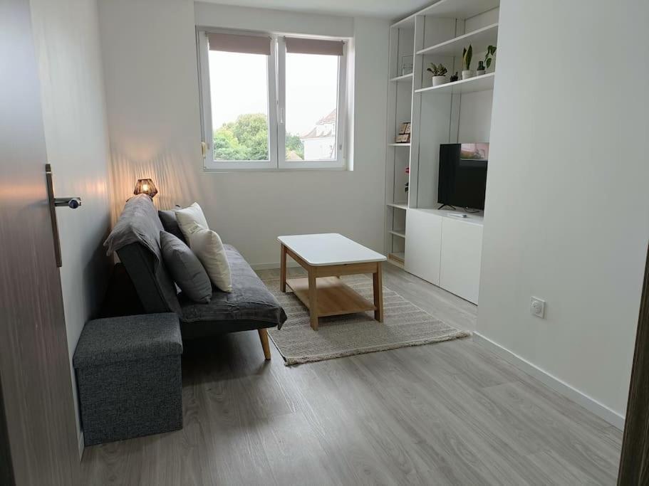 Appartement Entier F3 Renove - Petite Pause A Sélestat Dış mekan fotoğraf