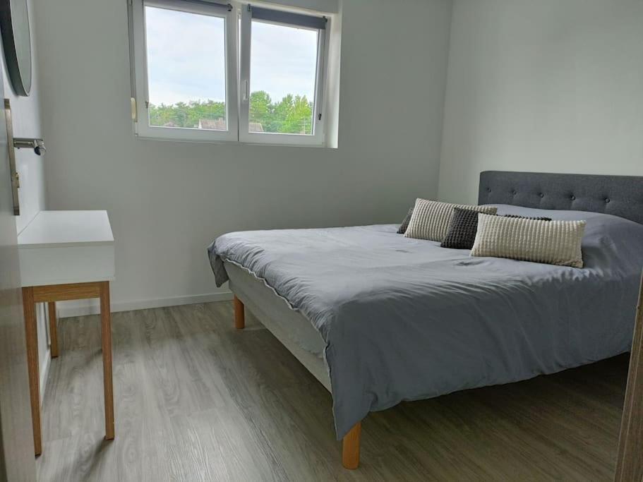 Appartement Entier F3 Renove - Petite Pause A Sélestat Dış mekan fotoğraf