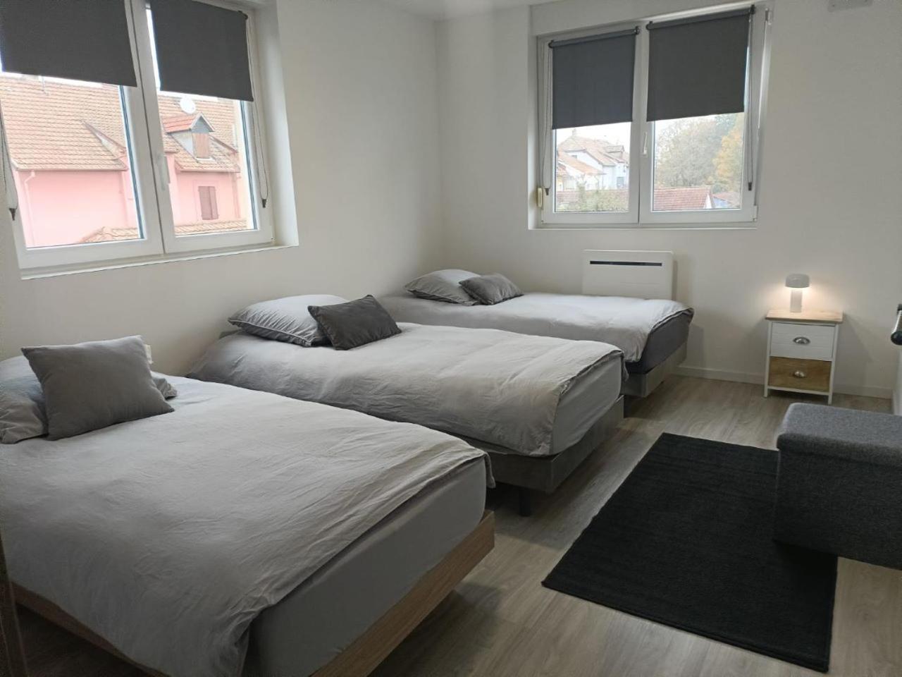 Appartement Entier F3 Renove - Petite Pause A Sélestat Dış mekan fotoğraf